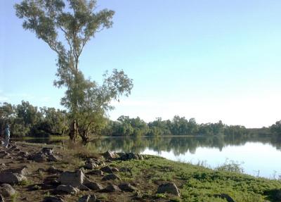 Cullyamurra, late afternoon