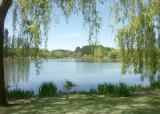 The big pond