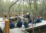 An ecology lesson