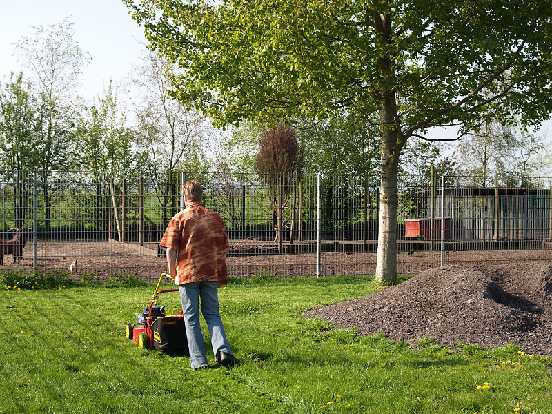 The Lawnmower Man