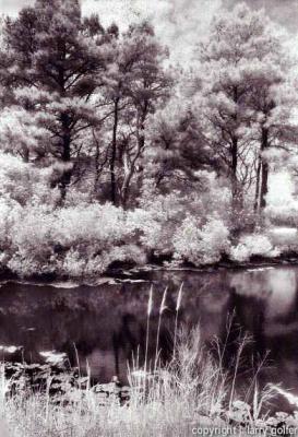 Lagoon