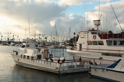 This Boat's For the Birds