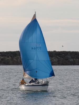 Outer Harbor