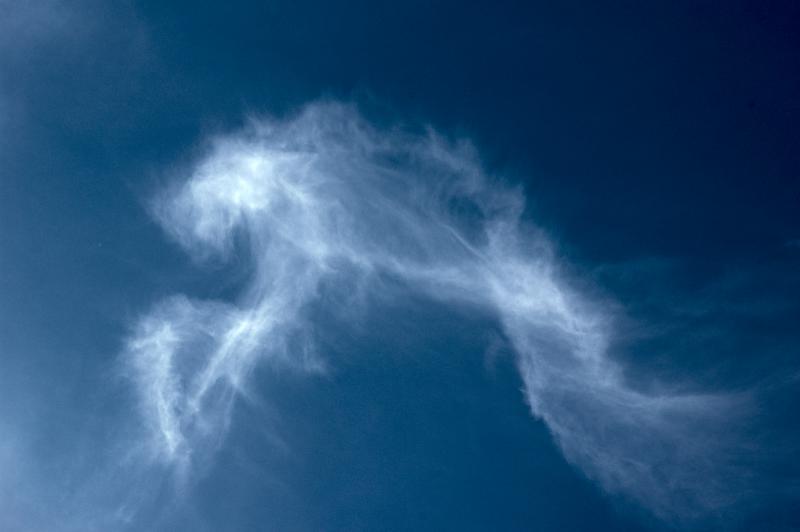 DSC_3248.jpg
