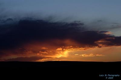 Sunset Close-up