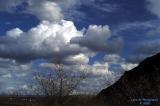 Puffball Clouds