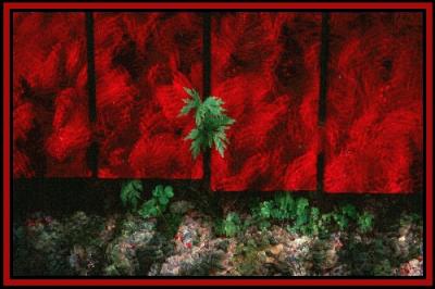 red siding sandwich