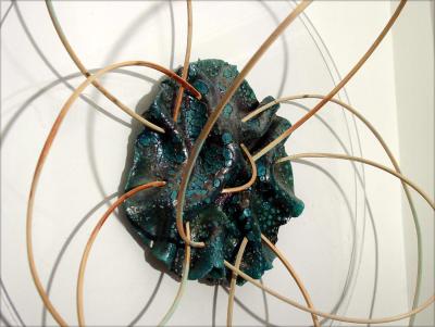 Gramma's Spiny Amoeba wb.jpg