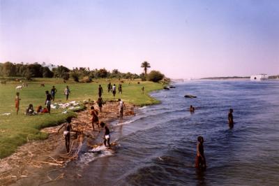 Boys in De Nile