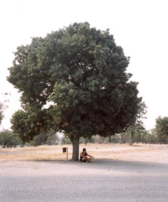 u12/little_sis/medium/19907546.Cyrilmediatating.jpg