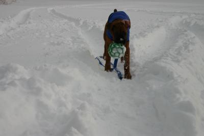 Hamlet, a ball and lots of snow