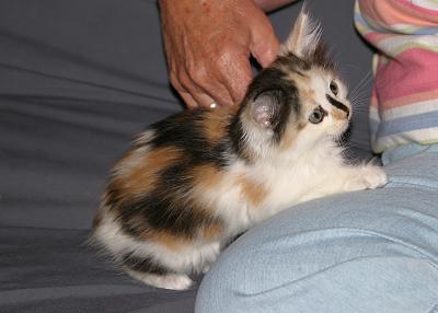 IMG_2610.jpg