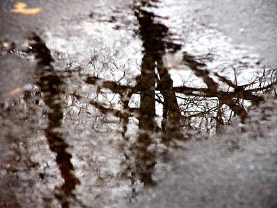 sunless puddle reflections - January 4th