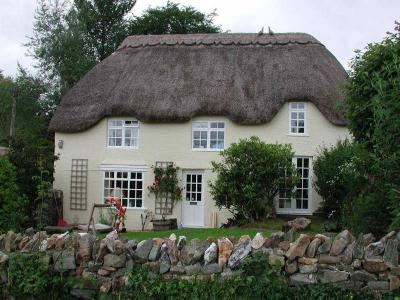 Mary Tavy - Nice Thatched Cottage.jpg