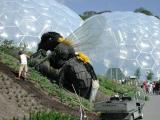Eden Project - Big Bee.jpg