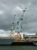 Plymouth - Cranes.jpg