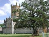 Buckfast Abbey - Behind Tree.jpg