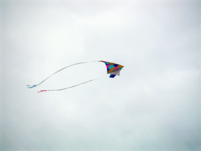 u12/lupevalencia/medium/38175572.Cometa.jpg