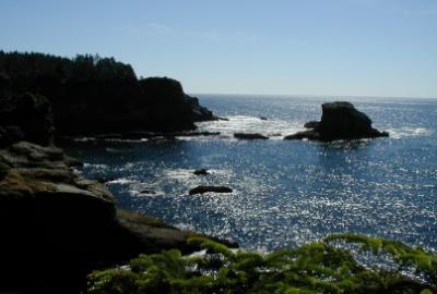 Cape Flattery