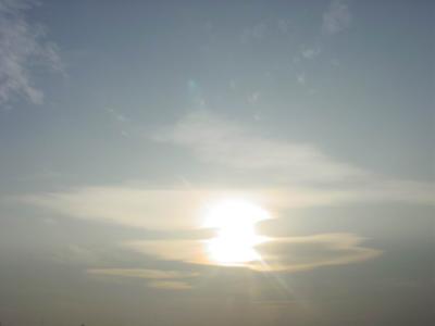 sunny