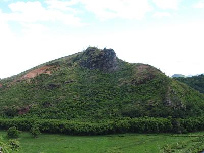 IMG_1372.JPG