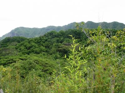 IMG_1409.JPG