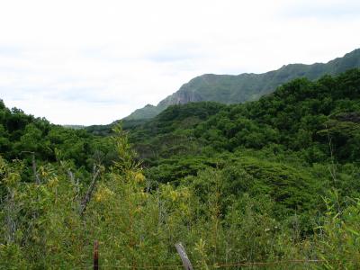 IMG_1410.JPG