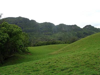 IMG_1411.JPG