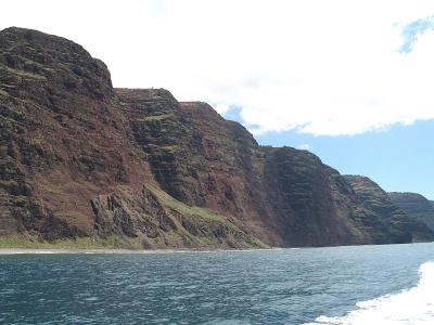 IMG_1446.JPG