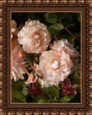 u12/malista/medium/2899437.oldmaster.jpg