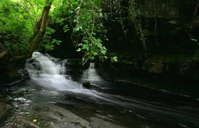 Tropical Talybont