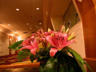 DSCN0526.JPG