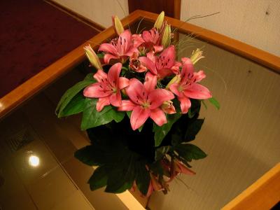 DSCN0532.JPG