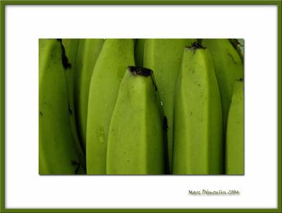 Green bananas, Guadeloupe