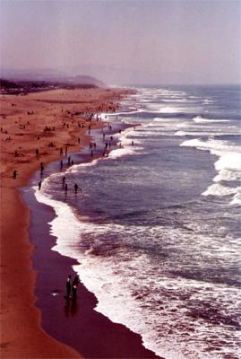 u12/maribel/medium/38357616.Sanfranciscobeach.jpg