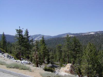 P7020133.JPG