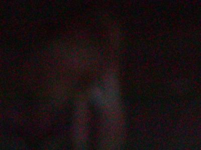 P7050351.JPG