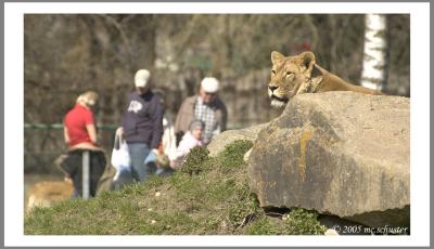 Zoo 02.jpg