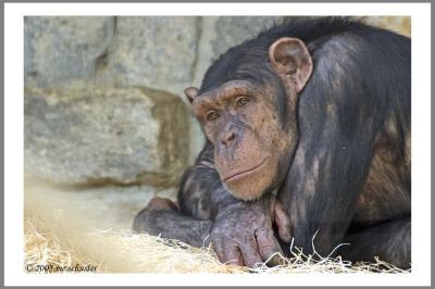 Zoo 03.jpg