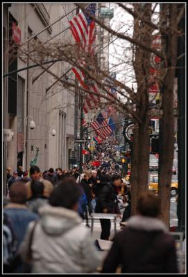 Shopping on fifth avenue