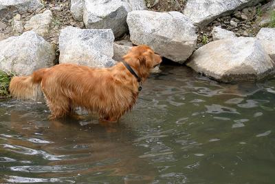 IMG_1953web.jpg