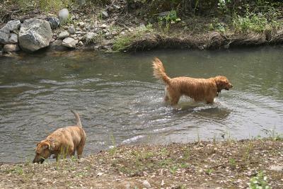 IMG_1961WEB.jpg