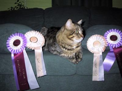 Arska presenting his show rosettes after being nominated on both shows in Kuopio.