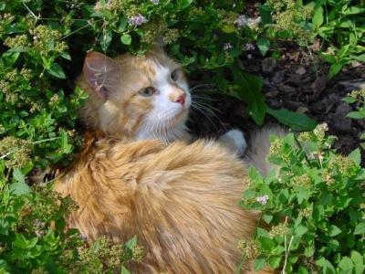 Alek enjoying sun shine in a park.