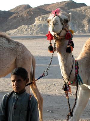Eastern Desert