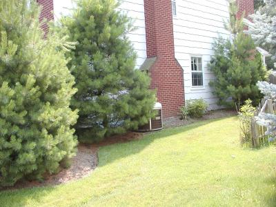 Next to a Bush
