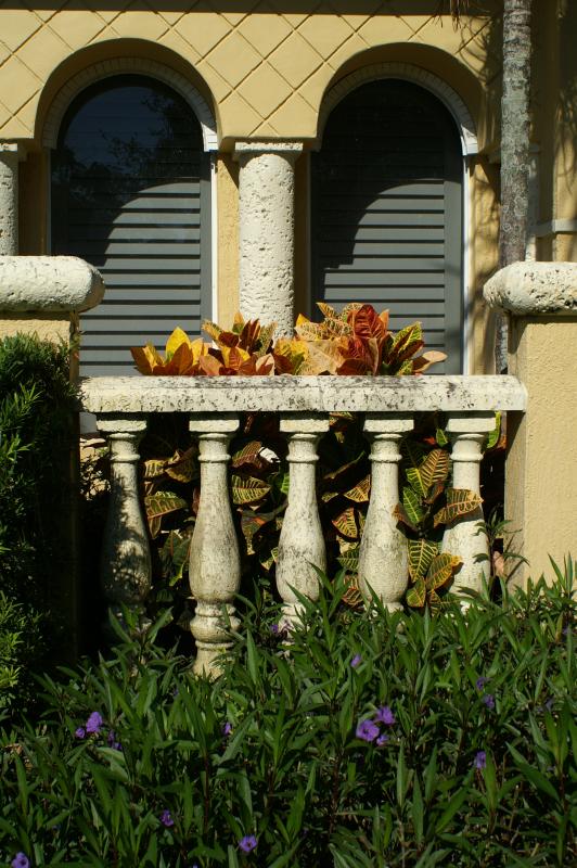 PICT0006.JPG