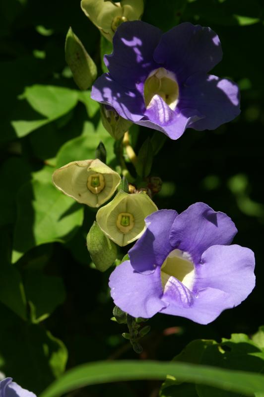 PICT0045.JPG