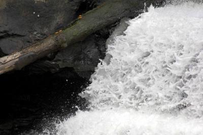 u12/mikerad53/medium/38225761.h2o.jpg