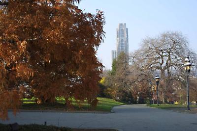 Pitt.jpg